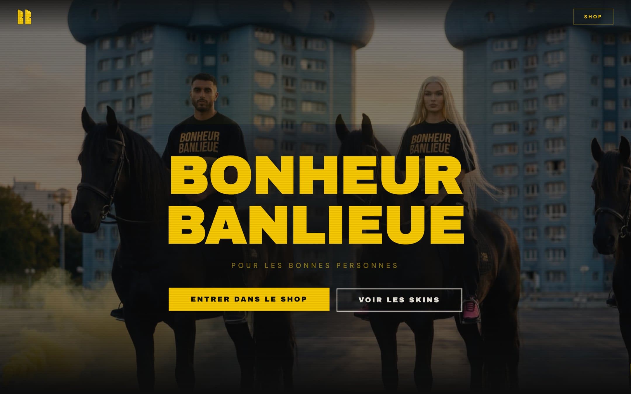 Bonheur Banlieue — projet réalisé par Novilisya Solution